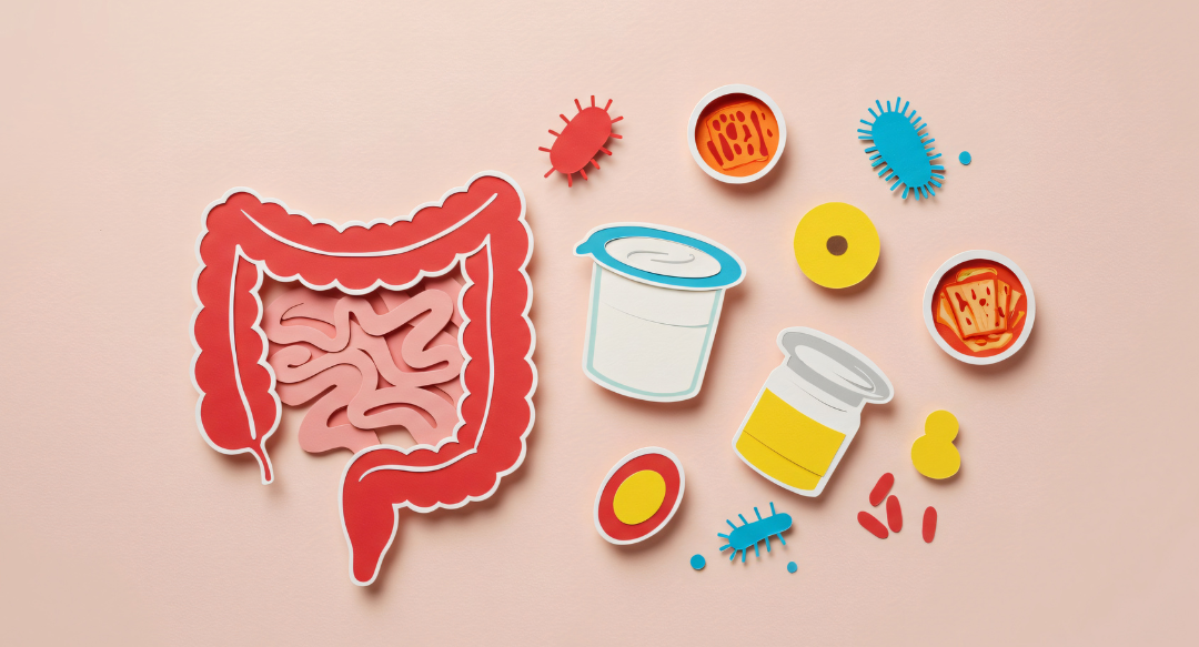 Gut Health Explained: What the Evidence Really Supports (and What It Doesn’t)