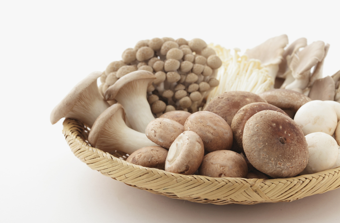 Mushroom supplements: Food or therapeutic good?