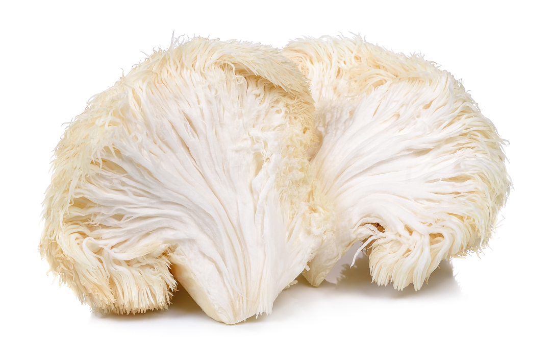 s Lion's Mane Legal as Food in Australia?